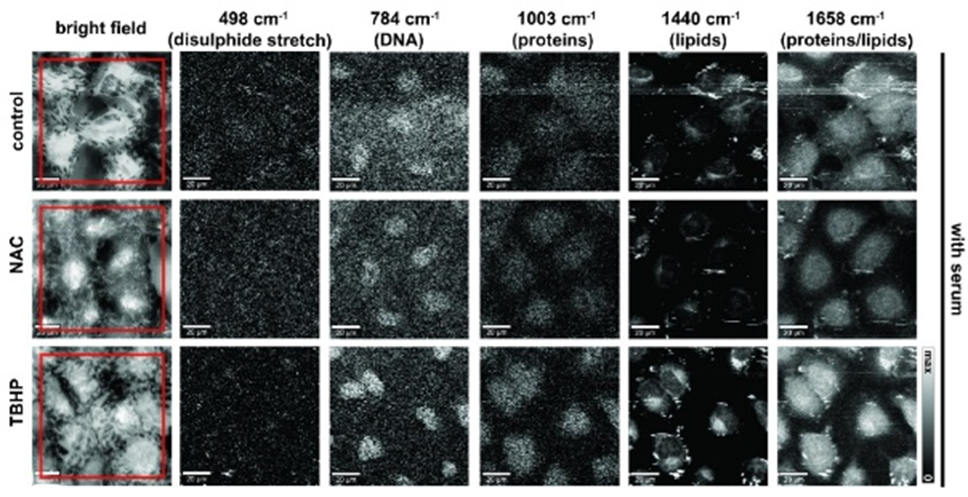 Graficzny skrót opublikowanych badań