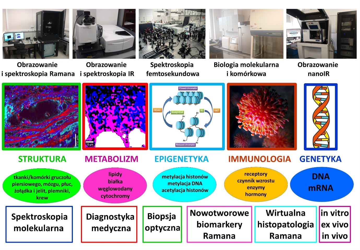 Graficzne przedstawienie badań w zespole prof. Abramczyk