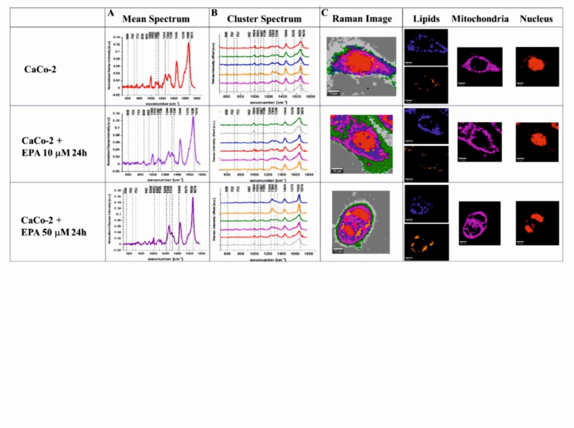 Raman AFM fluorescence 1