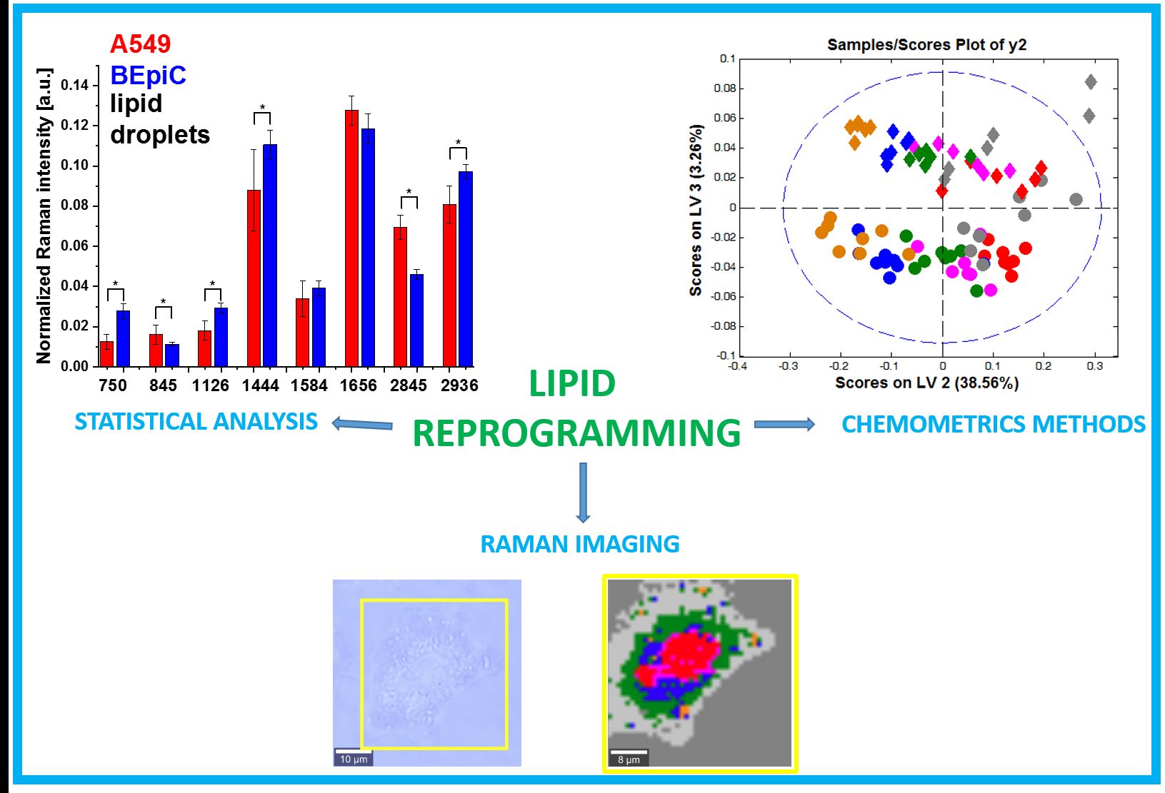 Raman biomarkers