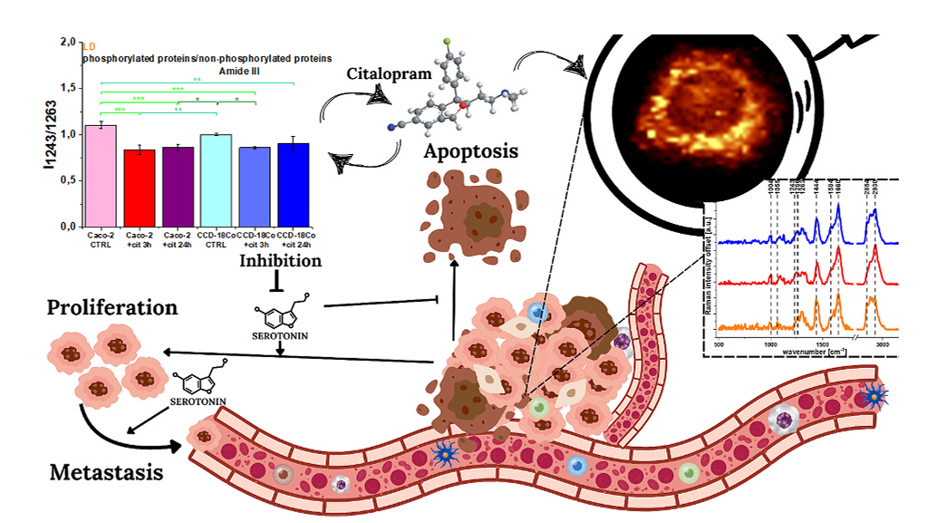 Expoloring the impaCT