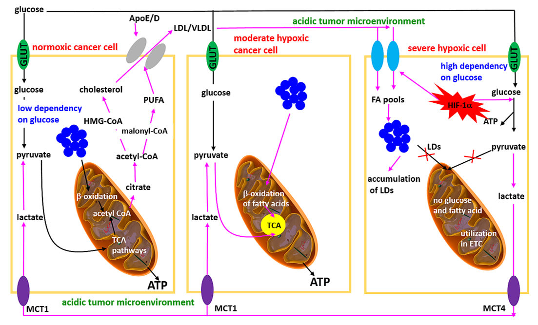 Hypoxic